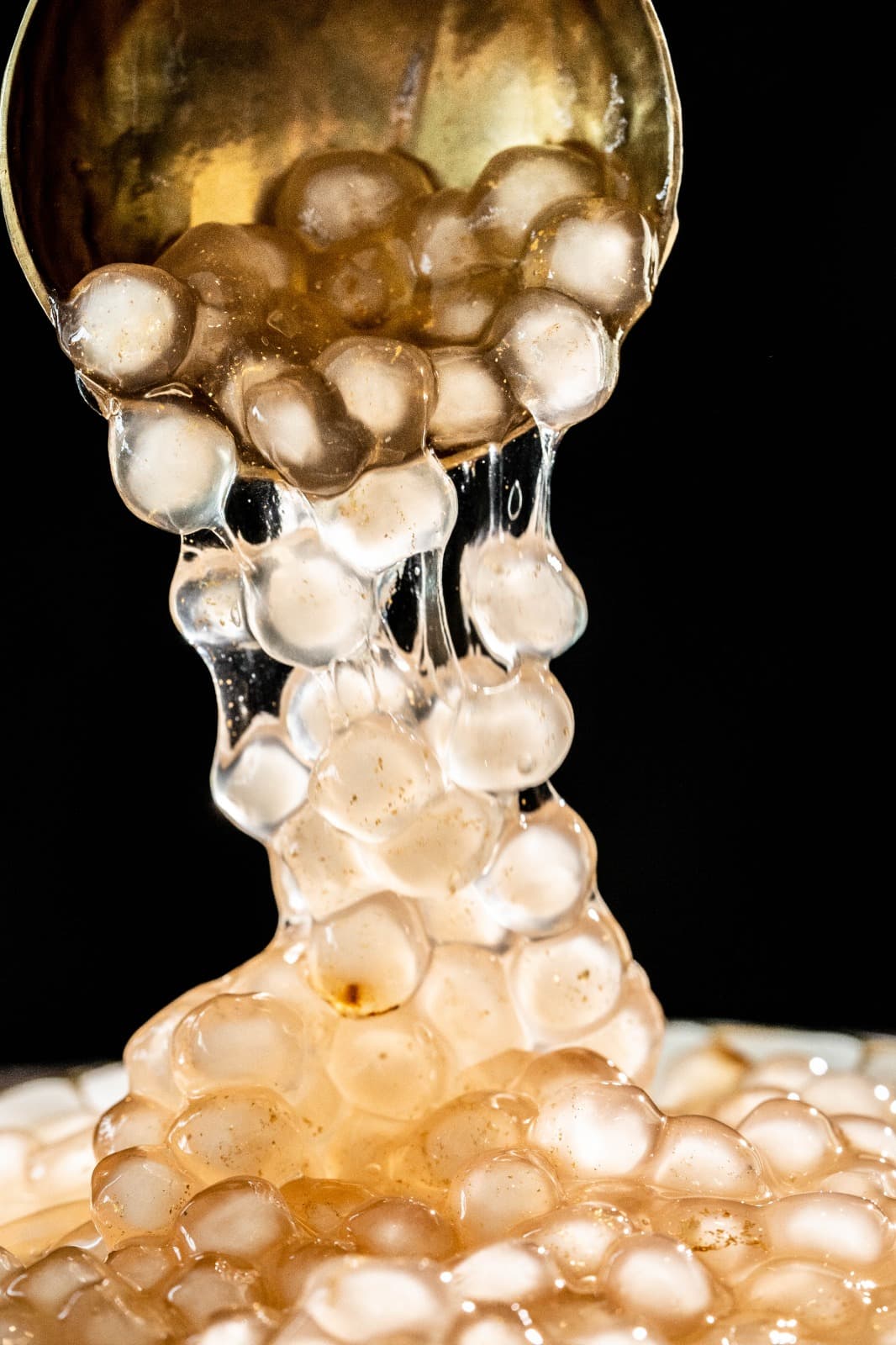 GOLD BOBA